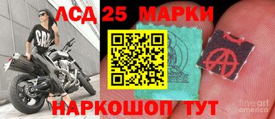 сатива Гатчина