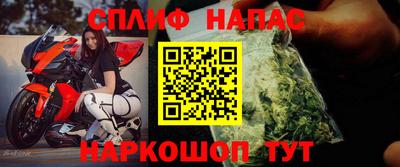 сатива Гатчина