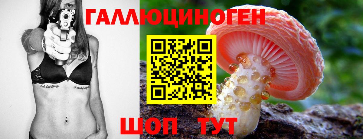 Менделеевск  как найти закладки  Вход с VPN  Псилоцибиновые грибы Cubensis 