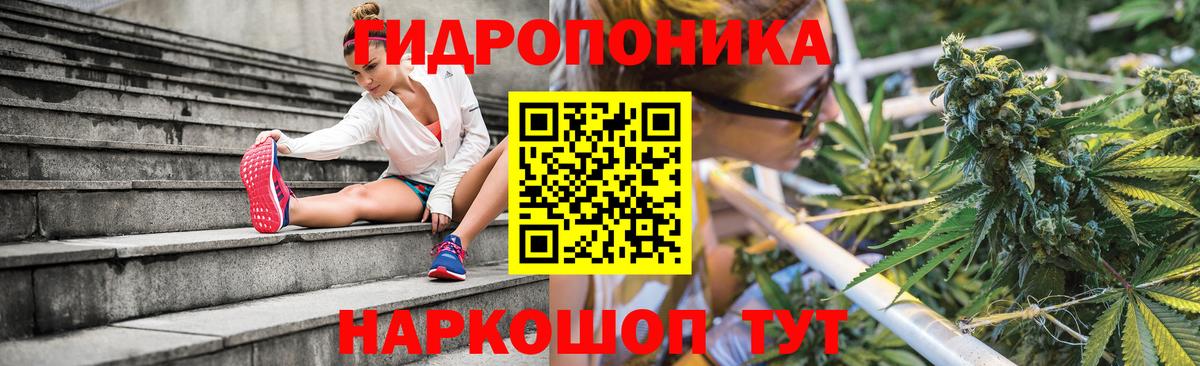 Конопля AK-47  Каннабис VHQ  Шишки марихуана семена  Менделеевск  Вход с VPN  Канабис OG Kush 